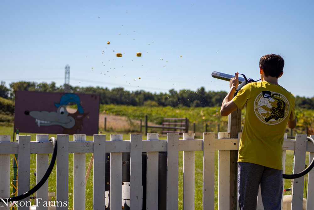 Donuts ready for sale